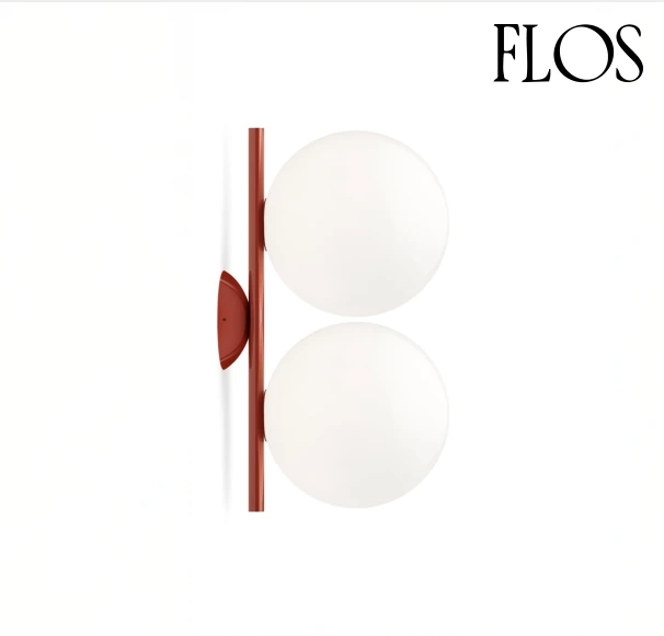 IC FLS5020